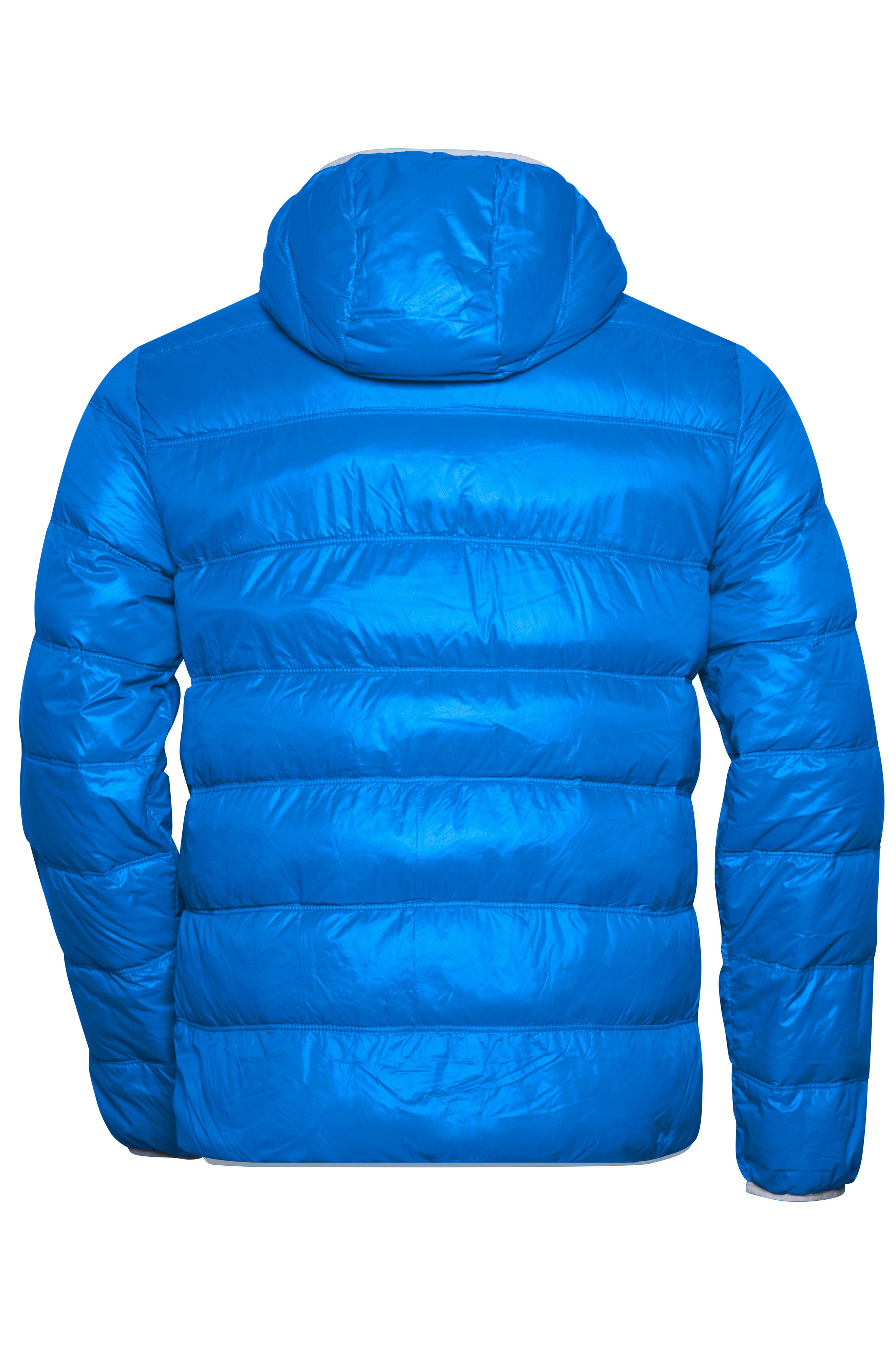 Men Men's Down Jacket Blue/silverDaiber